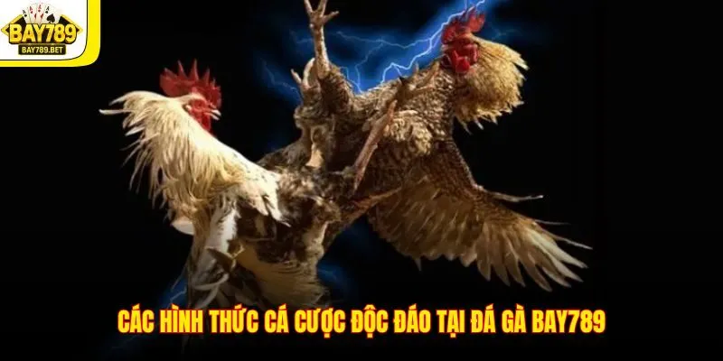 Đá Gà BAY789 2 Các hình thức cá cược độc đáo tại đá gà BAY789