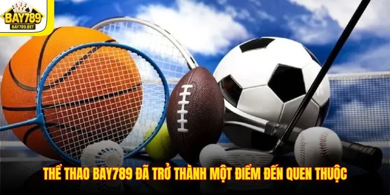 Thể thao BAY789 đã trở thành một điểm đến quen thuộc